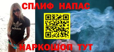 стаф Новозыбков