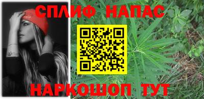 стаф Новозыбков