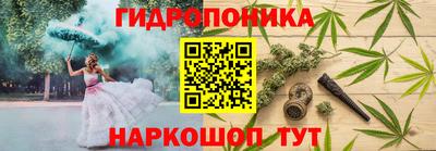 стаф Новозыбков